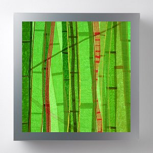 Anna Glasbrook